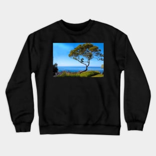 Tree at Punchbowl Hawaii Crewneck Sweatshirt